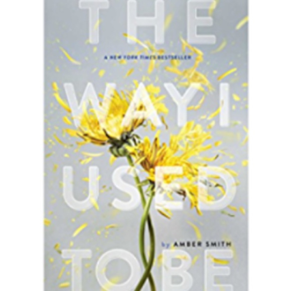 Fiction book “The Way I Used To Be” by Amber Smith